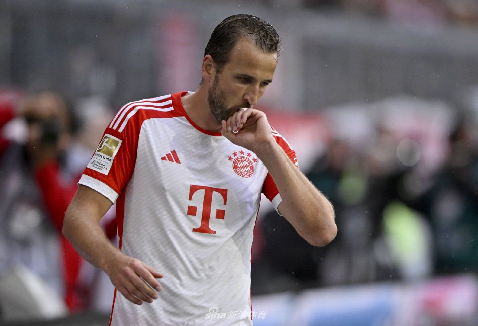 球队和球迷 球队和球迷